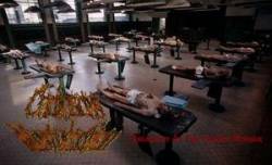 Live Breakfast At The County Morgue